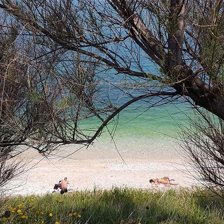 Casa Vacanze La Scalinata Bisceglie Bagian luar foto